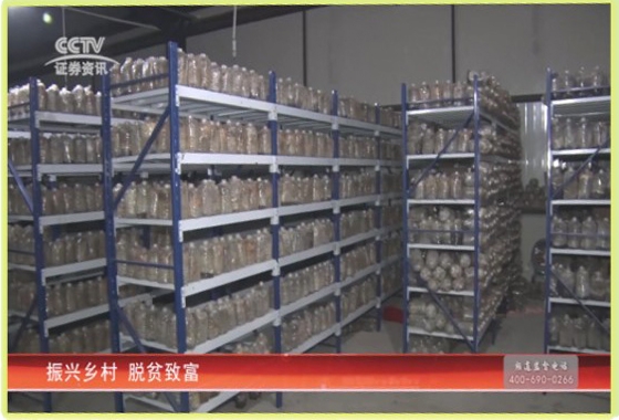 &#20061;&#28216;&#23089;&#20048;