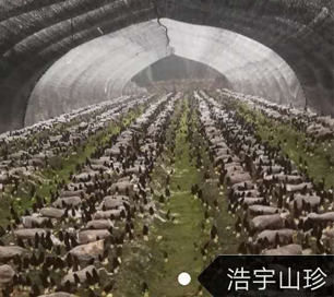 &#20061;&#28216;&#23089;&#20048;